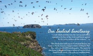 2015 Community Profile5 - Our Seabird Sanctuary - The Witless Bay Ecological Reserve